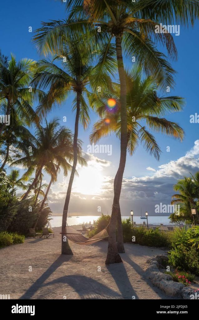 Sunny Skies to Soaked Shores: Florida’s Weather Today